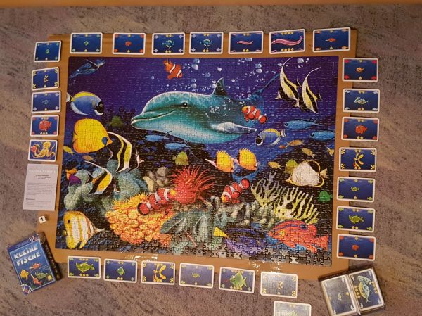 Bild #3 Kleine Fische