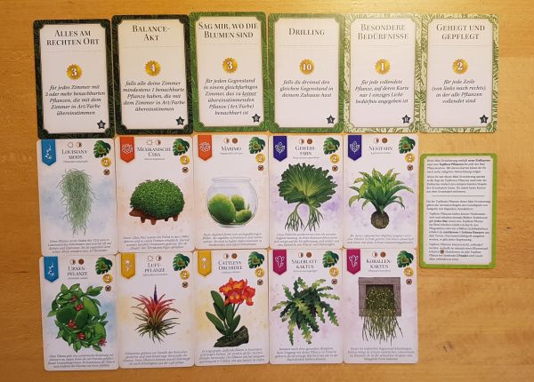 Bild #2 Sattgrün - Topflose Pflanzen