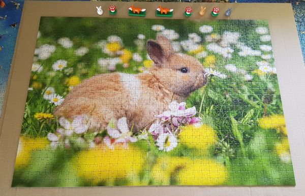 Bild #3 So hüpft der Hase